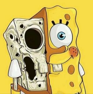 Meet your Posher, Dalton